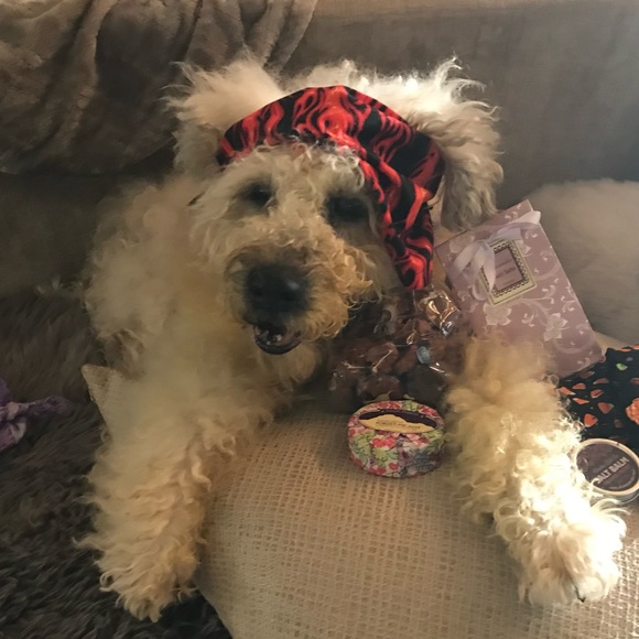 🪖Athletic Wear 🏸⛳️🏒🎾⛷️ - Picture 2 of 2